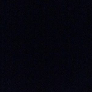 Meet your Posher, Ladonna